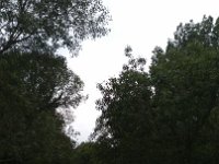 2017-05-28 13.01.36